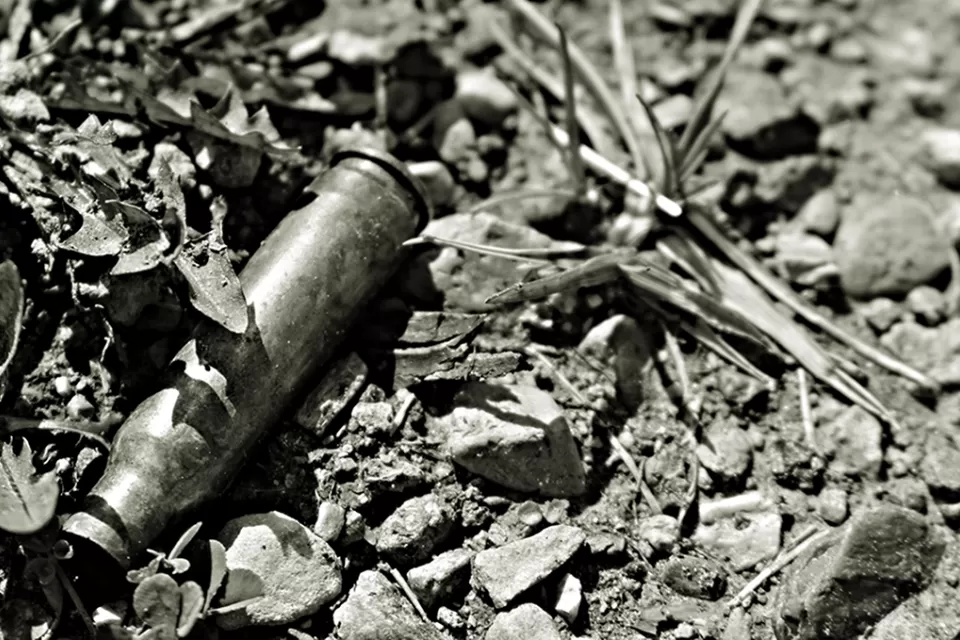 Bullet